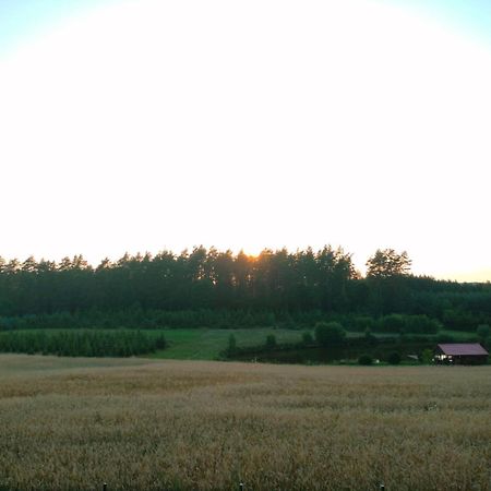 Agroturystyka U Kasi Suryty Екстер'єр фото